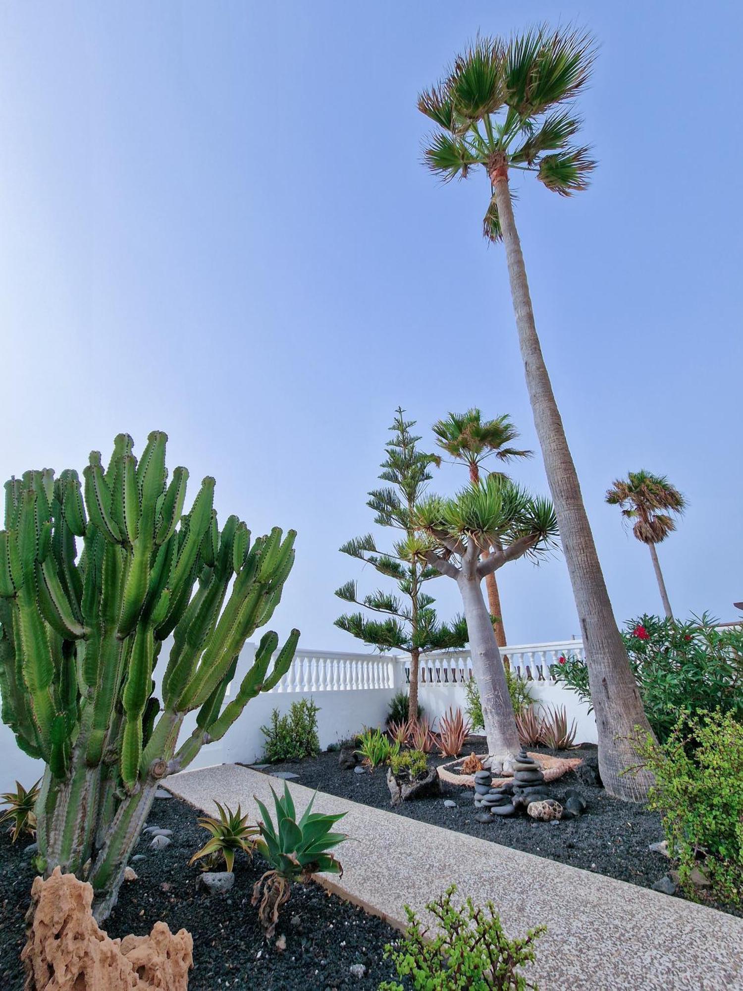 Villa La Maja Beachfront Corralejo Exterior photo